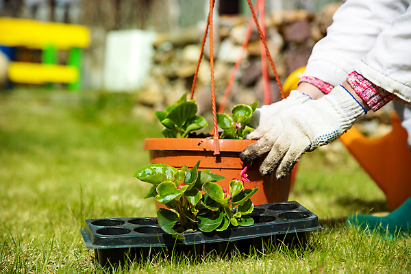 포토 JPG 해외이미지 식물 백인 라이프스타일 손 여자 잎 농업 채소 청소년 자연 건강 한명 사람 성인 사람없음 야외 신체부위 농장 새싹 환경 성장 신선 잡기 작업 사회이슈 환경보전 유기농 원예 먼지 DIY 채소밭 돌봄 모종 심기 여자한명만 성인만 세련 해외포토 서양인 1 웰빙 산업 컨셉 밭 모션 취미 생활 생태계 여자만 파일형식 이미지허브