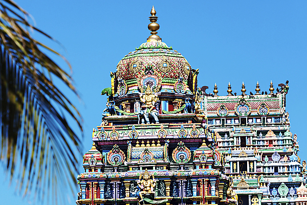 포토 JPG 해외이미지 나무 종교 조각 여행 하늘 손바닥 사람없음 파란색 컬러풀 사찰 힌두교 해외포토 식물 손 컬러 종교건축 파일형식 이미지허브