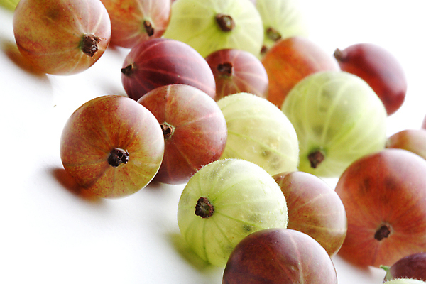 포토 JPG 해외이미지 사람없음 초록색 소프트포커스 자주색 구스베리 해외포토 열매 컬러 촬영기법 파일형식 이미지허브