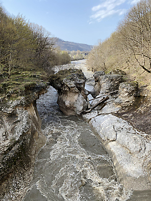 포토 JPG 해외이미지 주간 나무 야생동물 여행 자연 날씨 산 사람없음 야외 세로 물 관광지 강 환경 놀람 흐름 시골 개울 떨어짐 숲 신비 속도 수로 자연백그라운드 분무기 지역 산악지대 생태학 현재 해외포토 자연요소 식물 동물 교육 감정 백그라운드 컨셉 표정 생태계 파일형식 이미지허브