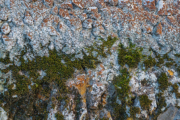 포토 JPG 해외이미지 디자인 벽 백그라운드 패턴 건축양식 표면 날씨 추상 사람없음 건물 물 검은색 페인트 공백 회색 수확 골동품 흰색 얼룩 거친 균열 부식 질감 복고 시멘트 내추럴 곰팡이 그런지 석고 옛날 콘크리트 해외포토 자연요소 건축물 건축 컬러 무늬 농업 모션 파일형식 이미지허브