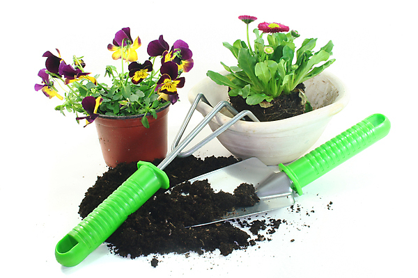 포토 JPG 해외이미지 식물 꽃 화분 사람없음 장식 봄 기구 도구 삽 원예 데이지 갈퀴 비올라 업그레이드 해외포토 계절 취미 파일형식 찰현악기 이미지허브