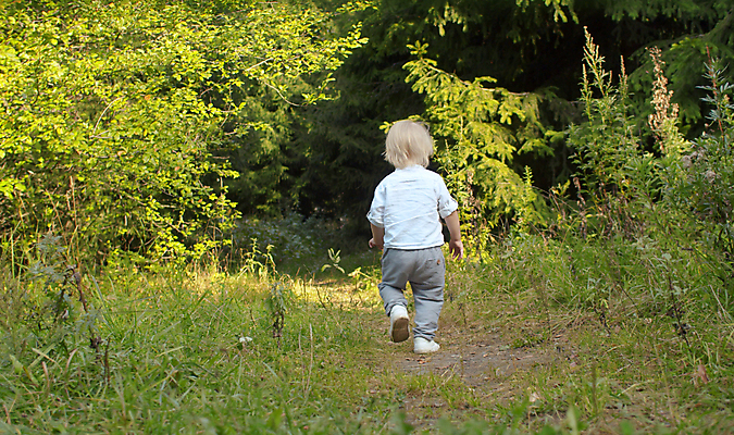 포토 JPG 해외이미지 나무 백인 라이프스타일 공원 남자 행복 도로 아들 어린이 자연 건강 사람 소년 사람없음 야외 뒷모습 초록색 여름 청춘 뷰티 걷기 맑음 산책 기쁨 아기 숲 개발 걸음마 혼자 해외포토 서양인 식물 계절 공공시설 감정 길 뷰포인트 컬러 컨셉 가족 교통시설 모션 날씨 휴식 생활 생태계 파일형식 이미지허브