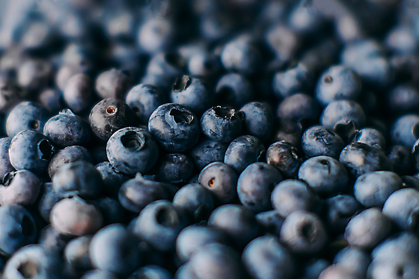 포토 JPG 해외이미지 실내 사람없음 아웃포커스 신선 달콤 소프트포커스 가득함 블루베리 해외포토 과일 촬영기법 내부 맛 파일형식 이미지허브