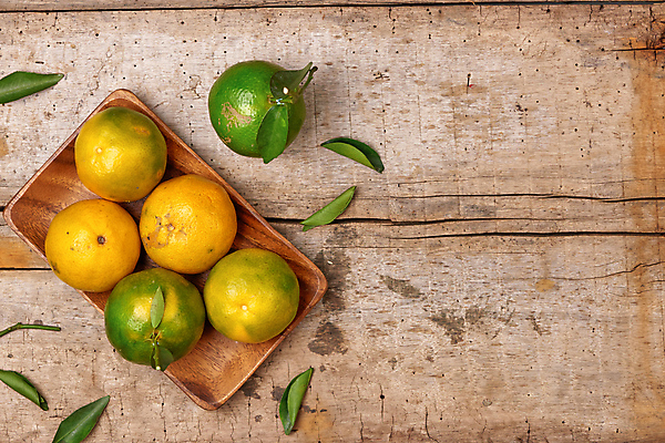 포토 JPG 해외이미지 잎 귤 실내 사람없음 하이앵글 나무접시 카피스페이스 나무배경 해외포토 식물 접시 뷰포인트 백그라운드 과일 내부 공백 파일형식 이미지허브