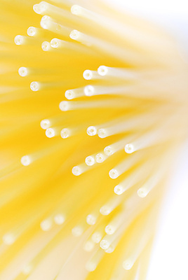 포토 JPG 해외이미지 전통 음식 다이어트 재료 건조 파스타 스파게티 요리 사람없음 노란색 식사 저녁식사 이탈리아 흰색 맛 낟알 자르기 밀 지중해 국수 날것 점심식사 고립 생식 얇은 탄수화물 해외포토 유럽 바다 컬러 컨셉 모션 곡류 서양음식 건강 면류 파일형식 이미지허브