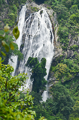 포토 JPG 해외이미지 나무 식물 공원 백그라운드 잎 모션 태국 자연 하늘 휴식 국립공원 사람없음 목재 초록색 물 강 수영 봄 폭포 젖음 성장 신선 개울 숲 시원함 순수 즐거움 파라다이스 해외포토 자연요소 계절 공공시설 감정 아시아 컬러 컨셉 재료 수상스포츠 생태계 파일형식 이미지허브