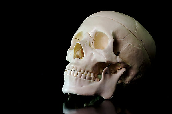 포토 JPG 해외이미지 백그라운드 뼈 사람없음 학습 검은색 할로윈 의사 흰색 입 구멍 가르침 균열 콘센트 치아 전기에너지 뇌 코 귀 물리치료 방법 연골 해골모형 해외포토 교육 컬러 모션 신체부위 치료 모형 에너지 의료진 소화기관 파일형식 이미지허브