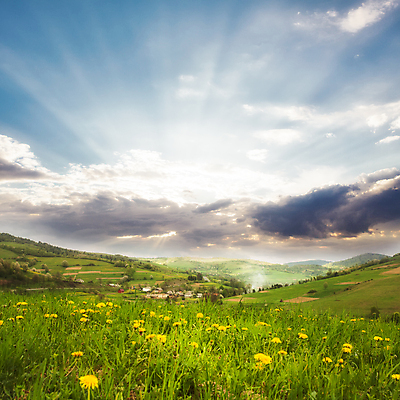 포토 JPG 해외이미지 주간 자연 하늘 사람없음 야외 민들레 빛무리 해외포토 자연요소 꽃 빛 생태계 파일형식 이미지허브