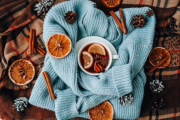 포토 JPG 해외이미지 실내 따뜻함 사람없음 하이앵글 니트 솔방울 건과일 시나몬스틱 해외포토 뷰포인트 상의 과일 건조 내부 시나몬 파일형식 이미지허브