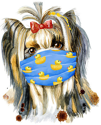 포토 JPG 해외이미지 한마리 디자인 백그라운드 무늬 수채화 오리 마스크 미술 사람없음 반려동물 개 강아지 요크셔테리어 감염예방 해외포토 동물 1 포유류 조류 문화예술 테리어 사회이슈 예방 감염 파일형식 이미지허브