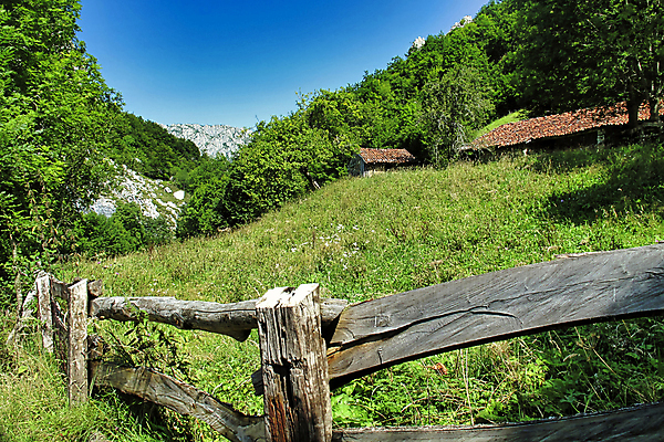 포토 JPG 해외이미지 나무 공원 유럽 야생동물 여행 자연 산 국립공원 풍경 초원 사람없음 초록색 뷰티 걷기 환경 골짜기 계곡 트래킹 다양 암석 바위 스페인 숲 오솔길 언덕 환경보전 생태계 서식지 보호구역 삼림지대 생태학 지질학 해외포토 식물 동물 공공시설 교육 나라 길 컬러 다수 모션 레저 돌_바위 사회이슈 구역 파일형식 이미지허브