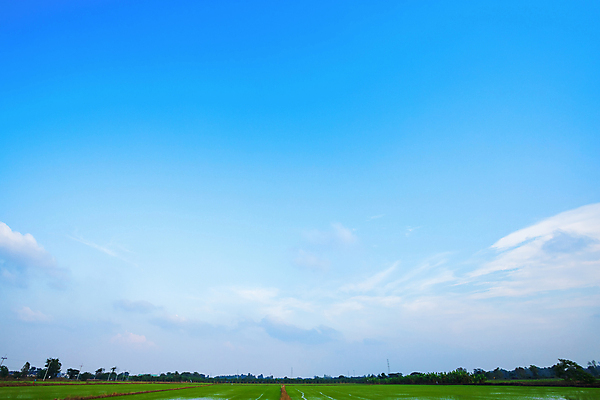 포토 JPG 해외이미지 구름 계절 여행 백그라운드 자연 벽지 하늘 날씨 추상 풍경 사람없음 야외 초록색 여름 파란색 태양 뷰티 우주 환경 맑음 봄 자유 흰색 전원 분위기 순수 질감 장면 천국 솜털 내추럴 오존 해외포토 자연요소 컬러 컨셉 무늬 전기에너지 생태계 파일형식 이미지허브