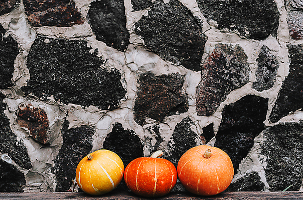 포토 JPG 해외이미지 디자인 계절 음식 백그라운드 밭 농업 채소 오렌지 과일 부분 자연 호박 사람없음 야외 목재 장식 초록색 파란색 세트 컬러풀 농장 쌓기 할로윈 수확 흰색 11월 날것 모음 추수감사절 스쿼시 10월 내추럴 고립 숙성 해외포토 나무 산업 기독교 스포츠 컬러 재료 모션 한글 구기 날짜 생태계 파일형식 이미지허브