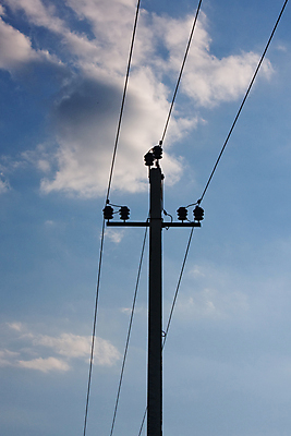 포토 JPG 해외이미지 산업 선 비즈니스 하늘 프레임 사람없음 뷰티 세일 탑 금속 힘 에너지 과학기술 전선 연결 큼 전염 볼트 지휘자 공학 진행 분배 전압 철강 현재 효율 힘찬 공급 해외포토 건축물 교육 컨셉 재질 기술 음악가 공구 질병 크기 감염 파일형식 이미지허브