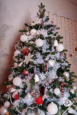 포토 JPG 해외이미지 나무 전통 디자인 계절 문화 크리스마스 겨울 휴가 새해 기념 실내 이벤트 사람없음 건물 장식 가로 빛 파티 축제 방 장식볼 분위기 클래식 우아함 12월 심볼 상록수 침엽수 전나무 엘리먼트 가문비나무 스타일 해외포토 식물 건축물 기념일 컨셉 내부 날짜 파일형식 이미지허브