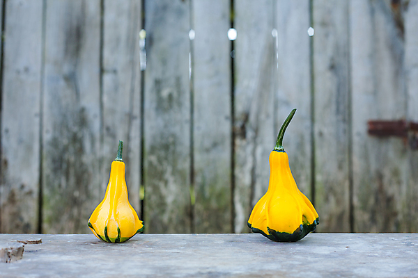 포토 JPG 해외이미지 식물 접시 음식 백그라운드 농업 다이어트 채소 오렌지 재료 자연 탁자 호박 파슬리 건강 요리 사람없음 목재 가로 초록색 컬러풀 노란색 식사 신선 닫기 먹기 유기농 날것 박 스쿼시 내추럴 점심식사 고립 숙성 주키니 채식주의자 비건 해외포토 나무 식기 웰빙 산업 스포츠 컬러 가구 과일 모션 구기 생태계 채식 파일형식 이미지허브
