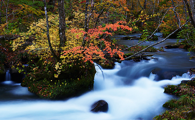 포토 JPG 해외이미지 주간 단풍 단풍나무 사람없음 야외 강 계곡 해외포토 자연요소 나무 잎 파일형식 이미지허브