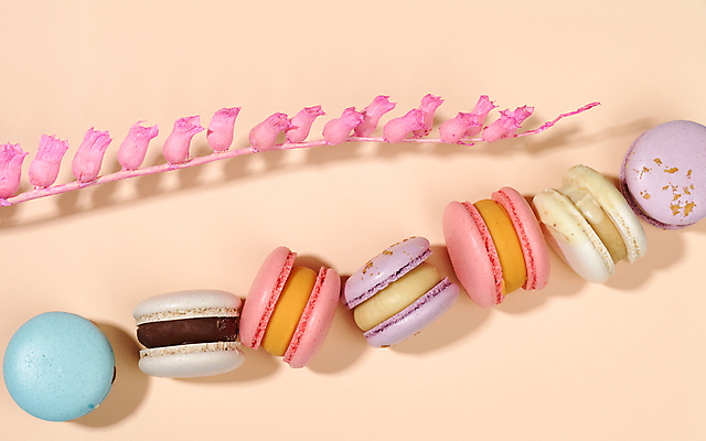 포토 JPG 해외이미지 디저트 실내 사람없음 달콤 일렬 마카롱 꽃가지 노란배경 해외포토 꽃 음식 백그라운드 내부 노란색 나뭇가지 맛 파일형식 이미지허브
