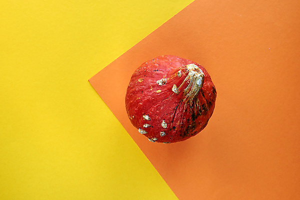 포토 JPG 해외이미지 나무 디자인 계절 백그라운드 잎 패턴 오렌지 텍스트 자연 탁자 호박 휴가 프레임 건조 따뜻함 사람없음 장식 초록색 갈색 노란색 파티 할로윈 흰색 플랫 정상 묘사 질감 레이아웃 위치 추수감사절 10월 내추럴 구성 목업 힙스터 미니멀 해외포토 식물 패션 기독교 컬러 가구 무늬 채소 과일 이벤트 날짜 생태계 파일형식 이미지허브