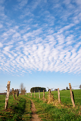 포토 JPG 해외이미지 식물 유럽 길 여행 자국 자연 하늘 독일 파노라마 풍경 사람없음 야외 관광지 환경 하이킹 시골 오솔길 생태계 내추럴 해외포토 나라 레저 촬영기법 파일형식 이미지허브