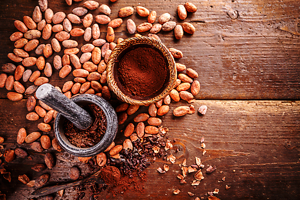 포토 JPG 해외이미지 사람없음 초콜릿 절구 절굿공이 카카오열매 코코아가루 카피스페이스 나무배경 해외포토 열매 백그라운드 디저트 공백 도구 가루 카카오 파일형식 이미지허브