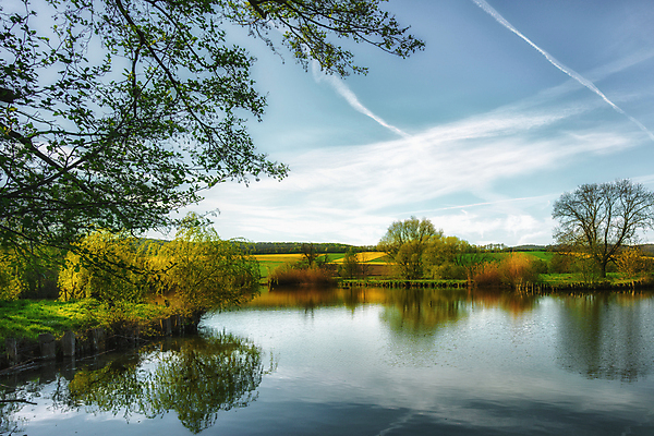포토 JPG 해외이미지 나무 식물 계절 잎 부분 자연 하늘 아침 날씨 휴가 휴식 그림자 풍경 초원 사람없음 야외 초록색 물 여름 빛 강 햇빛 태양 뷰티 반사 노란색 환경 맑음 침묵 고요 황혼 일몰 안개 나뭇가지 시골 연못 숲 뿌리 장면 지역 내추럴 삼림지대 현상 해외포토 주간 자연요소 컬러 컨셉 노을 소리 생태계 파일형식 이미지허브