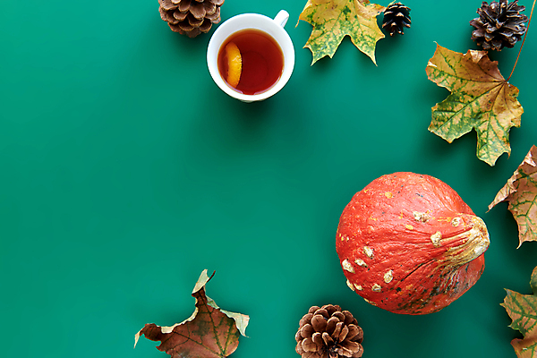 포토 JPG 해외이미지 단풍 낙엽 호박 실내 사람없음 하이앵글 솔방울 초록배경 해외포토 뷰포인트 백그라운드 잎 채소 내부 초록색 파일형식 이미지허브