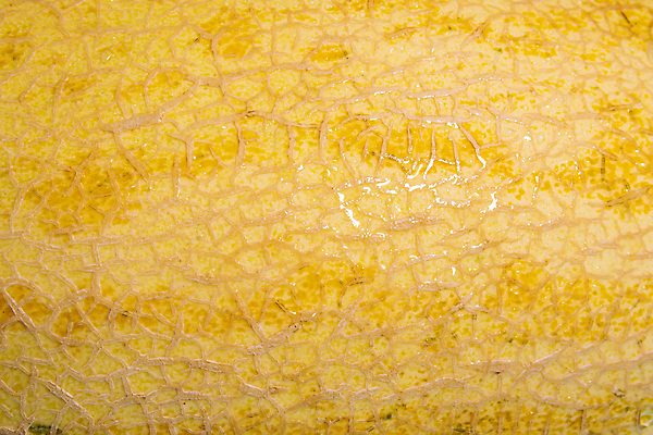 포토 JPG 해외이미지 라이프스타일 음식 조각 백그라운드 오렌지 과일 자연 디저트 수박 건강 씨앗 사람없음 초록색 물 노란색 거품 신선 닫기 달콤 맛 멜론 자르기 유기농 슬라이스 내추럴 숙성 채식주의자 해외포토 자연요소 식물 웰빙 컬러 컨셉 모션 생활 생태계 채식 파일형식 이미지허브