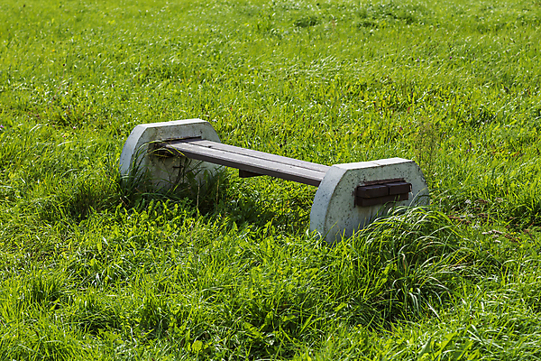 포토 JPG 해외이미지 주간 계절 공원 가구 백그라운드 벤치 의자 자연 휴식 앉기 사람없음 야외 목재 장식 초록색 여름 정원 수확 흰색 도시 오브젝트 복고 일반 옛날 해외포토 자연요소 나무 공공시설 컬러 생활용품 컨셉 농업 재료 모션 생태계 파일형식 이미지허브