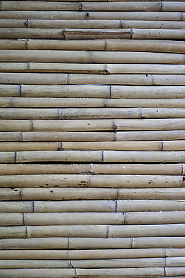 포토 JPG 해외이미지 나무 디자인 아시아 벽 백그라운드 패턴 자연 추상 사람없음 목재 울타리 갈색 노란색 줄무늬 매트 막대기 천 대나무 질감 통나무 내추럴 옛날 해외포토 식물 나라 컬러 무늬 재료 담장 직물 생태계 파일형식 이미지허브