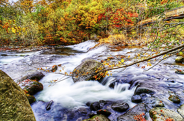 포토 JPG 해외이미지 주간 단풍 단풍나무 사람없음 야외 강 계곡 해외포토 자연요소 나무 잎 파일형식 이미지허브