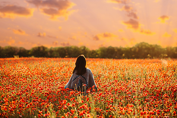 포토 JPG 해외이미지 1 라이프스타일 여자 꽃 밭 자연 휴식 갈색머리 한명 사람 성인 야외 빨간색 걷기 일몰 봄 양귀비 해외포토 식물 헤어스타일 계절 컬러 컨셉 농업 모션 생활 노을 생태계 파일형식 이미지허브