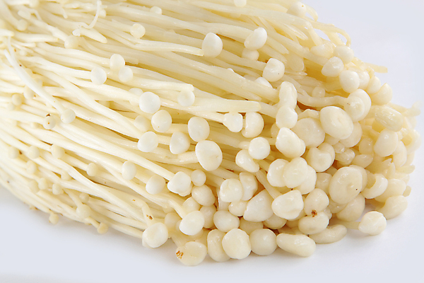 포토 JPG 해외이미지 채소 건강 사람없음 버섯 흰색 신선 상쾌 유기농 날것 고립 곰팡이 채식주의자 해외포토 웰빙 감정 컬러 채식 파일형식 이미지허브