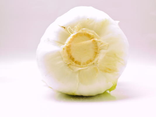 포토 JPG 해외이미지 식물 1 음식 백그라운드 잎 농업 다이어트 채소 재료 자연 건강 요리 사람없음 초록색 농장 머리 우주 식사 저녁식사 중국 신선 닫기 먹기 싱글 흰배경 유기농 양배추 날것 슛 내추럴 고립 해외포토 웰빙 산업 아시아 컬러 모션 신체부위 흰색 생태계 파일형식 이미지허브