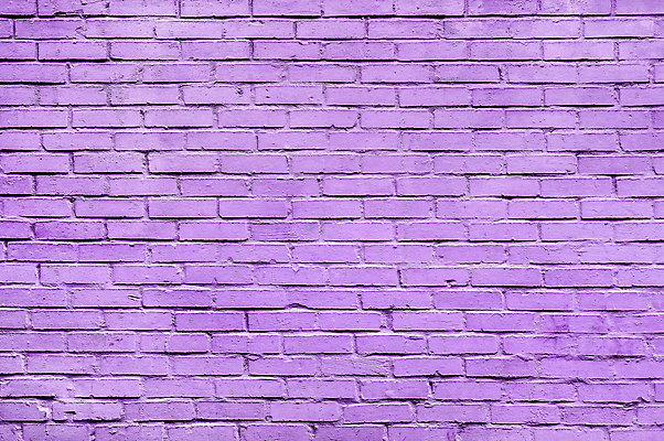 포토 JPG 해외이미지 템플릿 디자인 백그라운드 벽지 표면 돌담 흑백 사람없음 빛 컬러풀 검은색 수확 도시 거친 그리기 닫기 제비꽃 질감 시멘트 그런지 옛날 콘크리트 해외포토 꽃 컬러 농업 모션 촬영기법 담장 돌_바위 파일형식 이미지허브