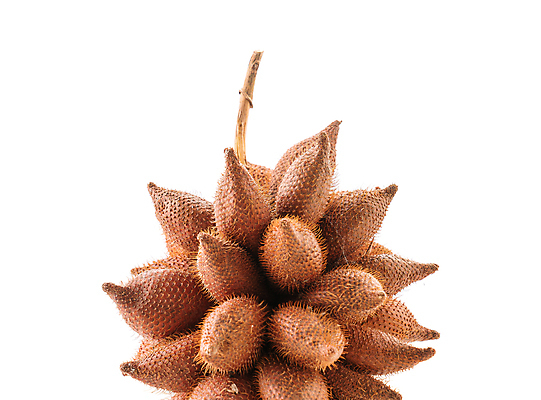 포토 JPG 해외이미지 음식 백그라운드 다이어트 과일 태국 디저트 건강 손바닥 씨앗 동양인 사람없음 빨간색 갈색 흰색 신선 달콤 먹기 내추럴 고립 이국적 맛있는 해외포토 식물 손 아시아 컬러 모션 인종 맛 파일형식 이미지허브