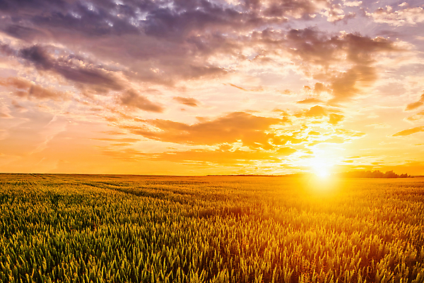포토 JPG 해외이미지 구름 자연 하늘 풍경 사람없음 야외 햇빛 태양 농경지 일몰 해외포토 자연요소 농장 노을 생태계 파일형식 이미지허브