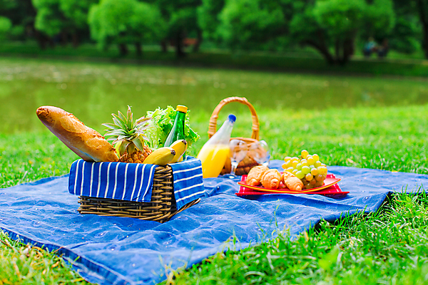 포토 JPG 해외이미지 주간 공원 과일 잔디 사람없음 야외 아웃포커스 소풍 주스 식탁보 바게트 소풍바구니 해외포토 자연요소 식물 공공시설 음료 빵 촬영기법 야외활동 바구니 파일형식 이미지허브