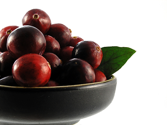 포토 JPG 해외이미지 열매 음식 크리스마스 다이어트 과일 사람없음 빨간색 신선 그룹 잼 고립 크랜베리 해외포토 식물 기념일 컬러 건강 소스_음식 파일형식 이미지허브