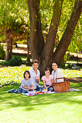 포토 JPG 해외이미지 주간 전신 나무 백인 라이프스타일 공원 여자 남자 딸 행복 아들 어린이 엄마 휴식 함께함 미소 들기 앉기 소녀 소년 여러명 성인 야외 앞모습 옆모습 부모 소풍 아빠 해외포토 자연요소 서양인 식물 공공시설 감정 뷰포인트 다수 컨셉 가족 모션 표정 사람 생활 야외활동 파일형식 이미지허브