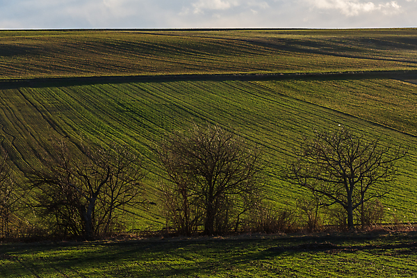 포토 JPG 해외이미지 구름 계절 공원 여행 잎 밭 자연 산 파노라마 풍경 초원 사람없음 초록색 여름 빛 태양 뷰티 일출 맑음 일몰 봄 새벽 하이킹 장비 바위 숲 시력 장면 주말 천국 내일 옛날 수평선 해외포토 자연요소 식물 공공시설 컬러 농업 레저 날씨 촬영기법 노을 돌_바위 생태계 파일형식 이미지허브