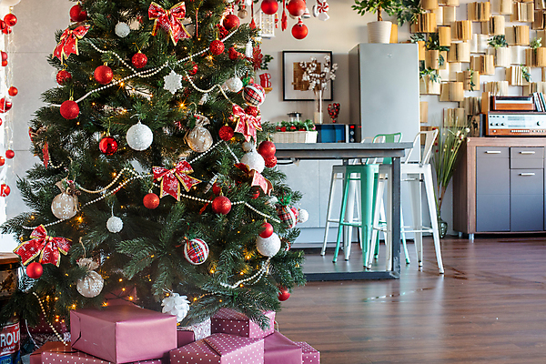 포토 JPG 해외이미지 나무 전통 라이프스타일 계절 가구 포크 크리스마스장식 크리스마스 겨울 와인잔 창문 탁자 아파트 주택 실내 스웨덴 선물 사람없음 내부 장식 인테리어 컬러풀 뷰티 크리스마스트리 주방 축제 식사 방 식탁보 축하 고급 은색 12월 책상 해피뉴이어 설정 스칸디나비아 해외포토 식물 식기 디자인 기념일 컬러 생활용품 컨셉 술잔 북유럽 건물 생활 새해인사 날짜 파일형식 이미지허브