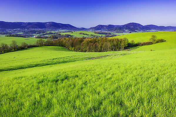 포토 JPG 해외이미지 나무 계절 유럽 여행 밭 자연 하늘 날씨 휴가 산 풍경 초원 사람없음 야외 가로 초록색 파란색 환경 맑음 봄 시골 숲 5월 땅 고도 언덕 지역 체코 내추럴 산악지대 해외포토 식물 나라 컬러 농업 날짜 생태계 파일형식 이미지허브