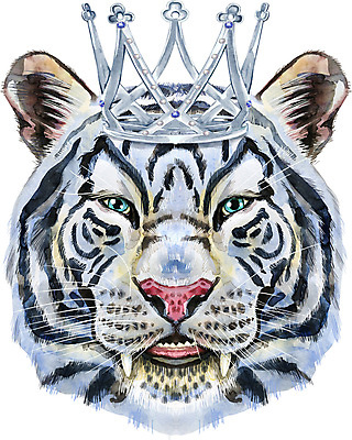 포토 JPG 해외이미지 행복 일러스트 왕관 수채화 사람없음 호랑이 눈웃음 백호 해외일러스트 감정 포유류 표정 파일형식 사방신 이미지허브