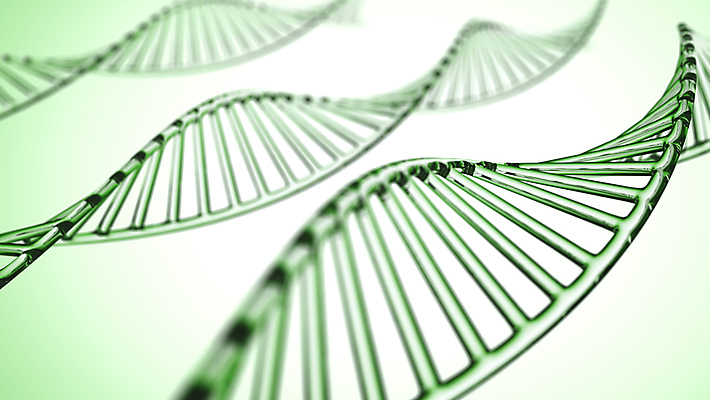 포토 JPG 해외이미지 모델 선 줄기 과학 백그라운드 패턴 일러스트 자연 추상 세포 나선형 건강 사람 사람없음 초록색 파란색 빛 약 흰색 실험실 DNA 생명공학 생물학 염색체 바이오 엘리먼트 유전 해외포토 식물 교육 컬러 무늬 의학 실험 생태계 파일형식 이미지허브