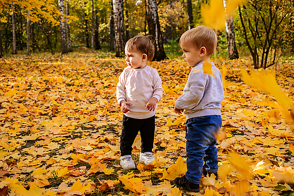 포토 JPG 해외이미지 나무 백인 라이프스타일 웰빙 계절 공원 행복 어린이 단풍 잎 가족 자연 놀이 건강 서기 사람 소년 야외 두명 목재 햇빛 기쁨 아기 황금 떨어짐 숲 작음 9월 10월 걸음마 해외포토 서양인 식물 공공시설 남자 감정 컨셉 재료 관계 모션 생활 태양 날짜 크기 생태계 파일형식 이미지허브