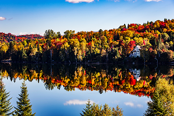 포토 JPG 해외이미지 나무 호수 캐나다 사람없음 물 햇빛 반사 숲 해외포토 자연요소 식물 북아메리카 태양 파일형식 이미지허브