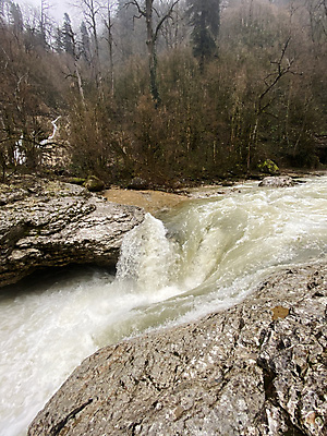 포토 JPG 해외이미지 주간 나무 야생동물 여행 자연 날씨 산 사람없음 야외 세로 물 관광지 강 환경 놀람 흐름 시골 개울 떨어짐 숲 신비 속도 수로 자연백그라운드 분무기 지역 산악지대 생태학 현재 해외포토 자연요소 식물 동물 교육 감정 백그라운드 컨셉 표정 생태계 파일형식 이미지허브