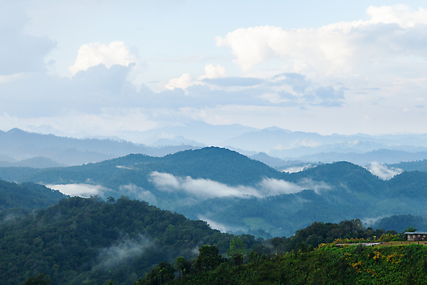 포토 JPG 해외이미지 나무 식물 구름 계절 여행 백그라운드 밭 자연 하늘 산 풍경 초원 사람없음 야외 목재 초록색 여름 파란색 햇빛 태양 일출 환경 계곡 일몰 봄 안개 시골 숲 땅 언덕 장면 내추럴 절정 해외포토 자연요소 컬러 농업 재료 날씨 노을 생태계 파일형식 이미지허브
